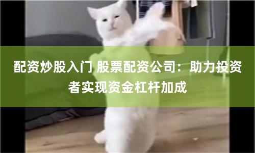 配资炒股入门 股票配资公司：助力投资者实现资金杠杆加成