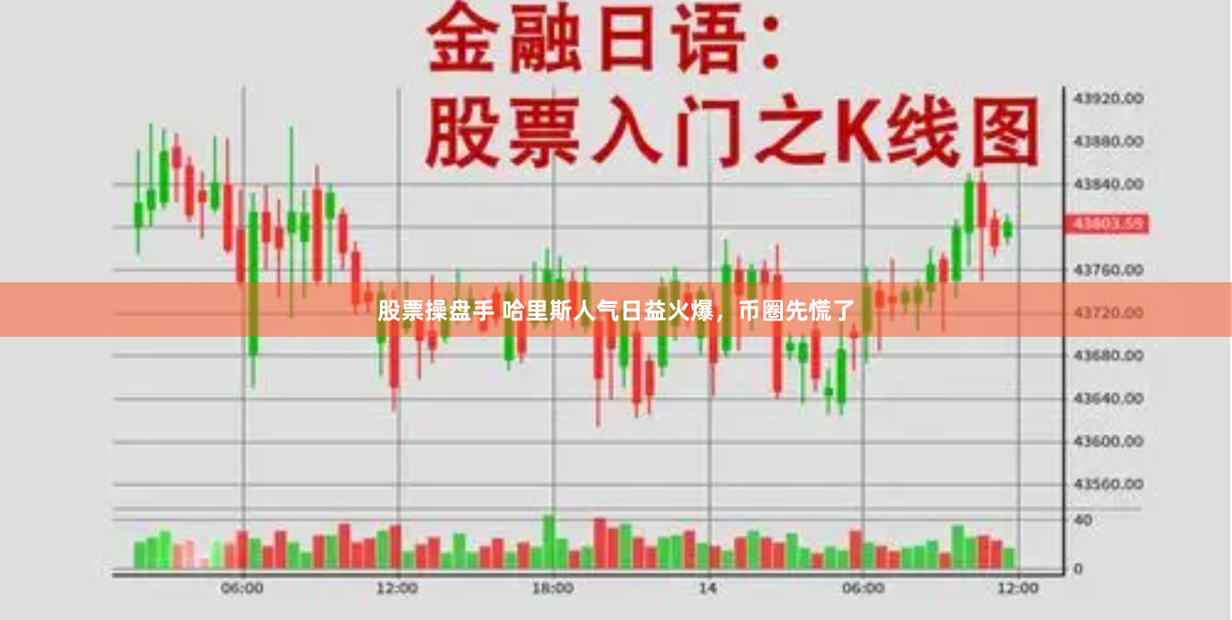 股票操盘手 哈里斯人气日益火爆，币圈先慌了
