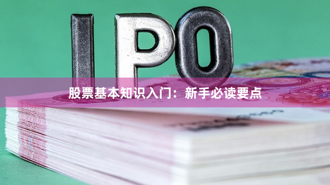 股票基本知识入门：新手必读要点